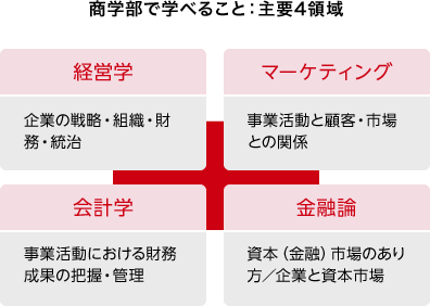 商学部で学べること：主要4領域