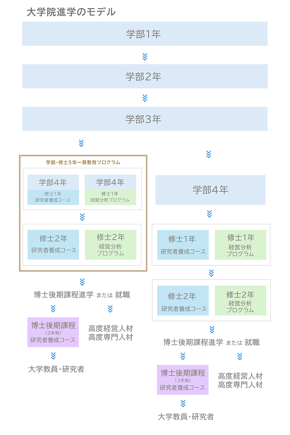 大学院進学のモデル