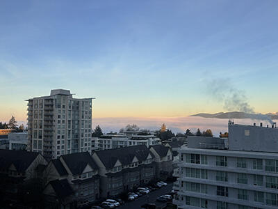 img_blog20260702_21.jpg