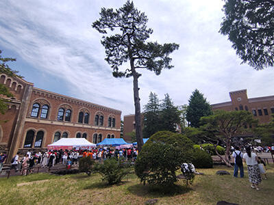 img_blog20260707_05.jpg