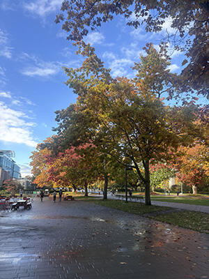 img_news_ssp202608_01.jpg